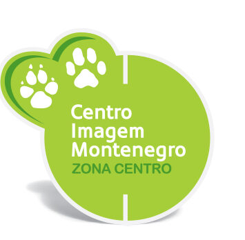 Zona Centro_logo 2.png